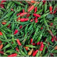 Bird’s Eye Chilies